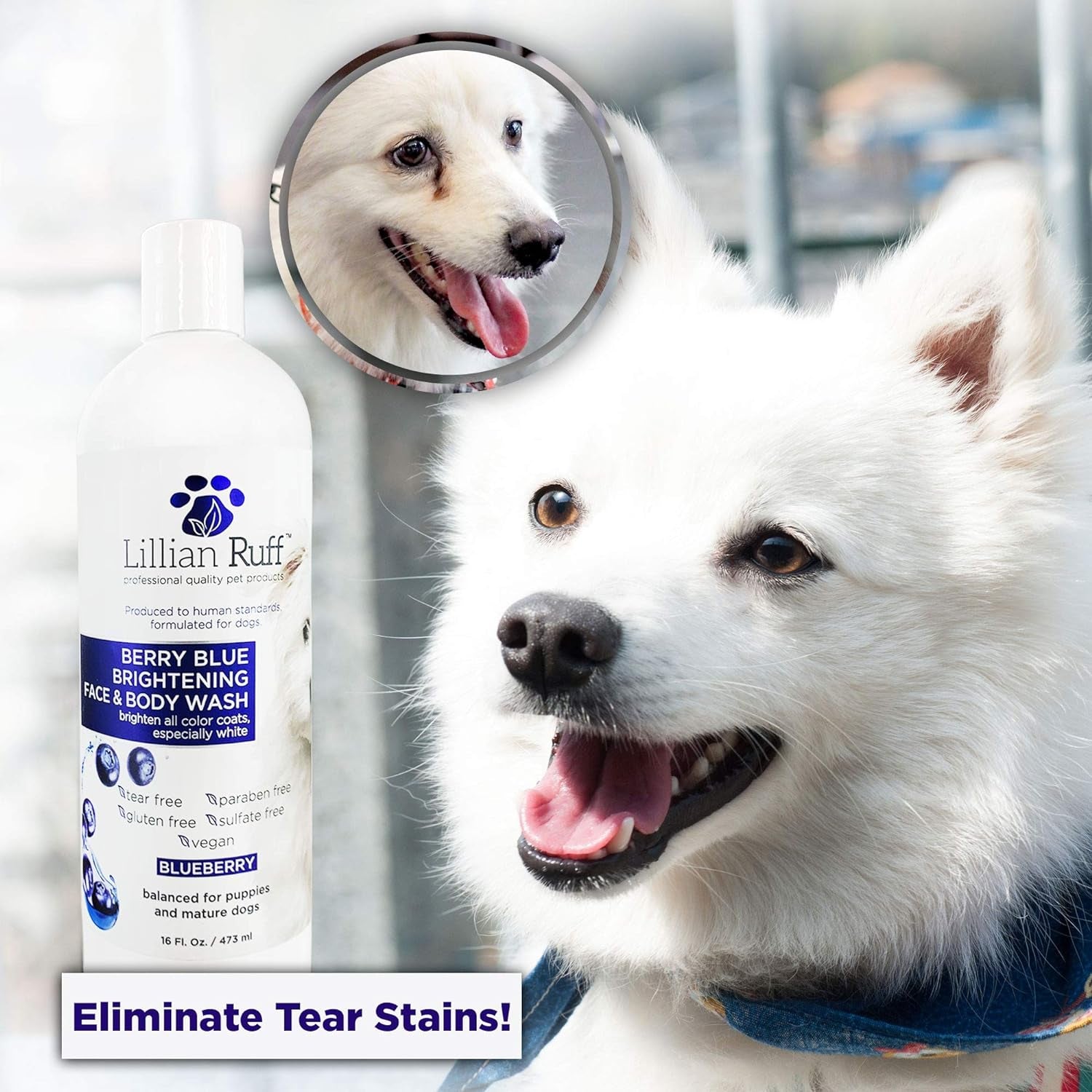 Berry Blue Brightening Face and Body Wash for Dogs - Blueberry Shampoo - Remove Tear Stains, Hydrate Dry Itchy Skin, Add Shine & Luster to Coats (Berry Blue Shampoo 16Oz)